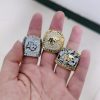 BC Lions CFL Grey Cup Championship Rings Collection