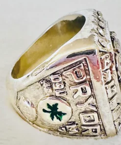 2008 Ohio State Buckeyes Big Ten Championship Ring - NCAA National Champion