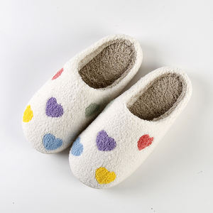 Customization Teddy  Slippers Any Designs Accept Custom Colour  Cartoon US 7-12 Size Worm  For Women Men