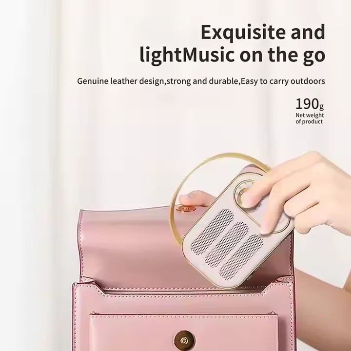 Retro Wireless Bluetooth Speaker IP67 Waterproof with USB & TF Card 9